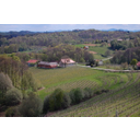 Slika_23 Gozd-vinograd.jpg<>Gozdovi in vinogradi